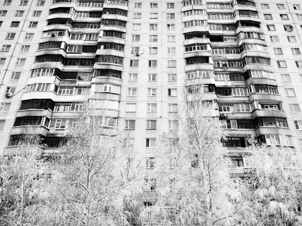 Нижневартовск. Зимние шишки.