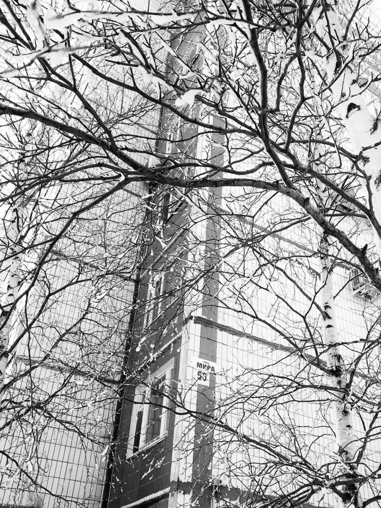 Photograph by Кристина Алексеенко