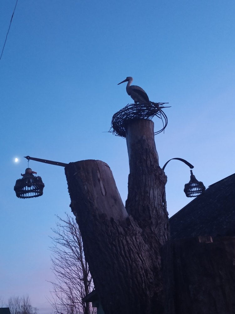 Photograph by Любовь Шаврина