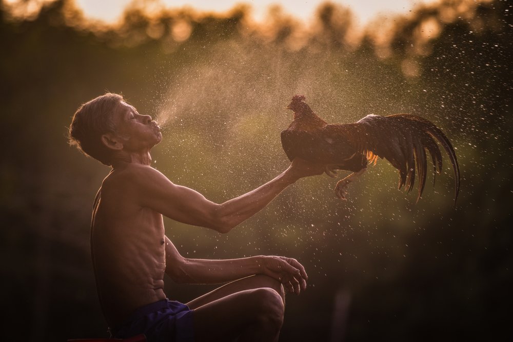 Photograph by Art_Nguyễn Hà