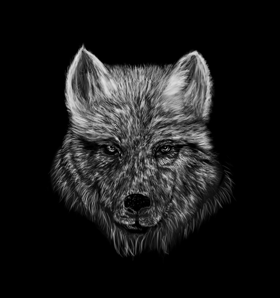 Photograph by Presav Kunov