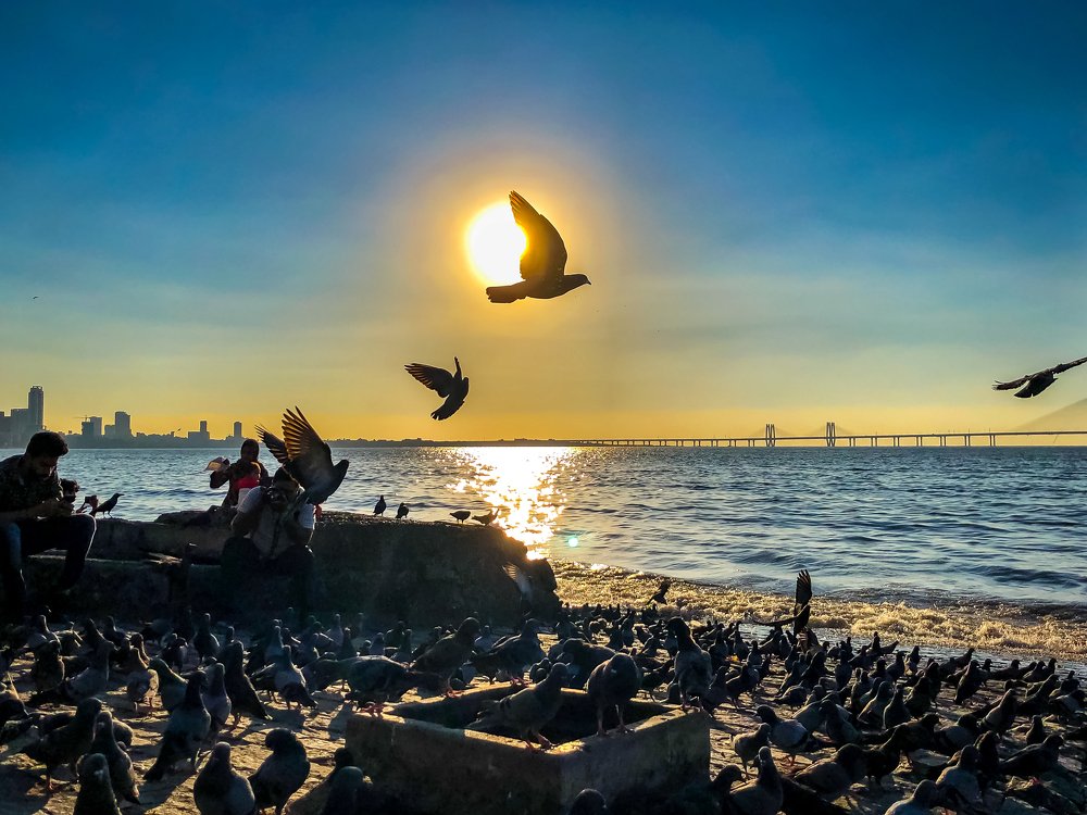 Photograph by Augustine Fernandes