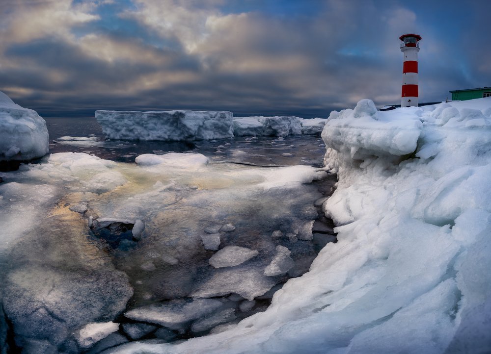 Во льдах Арктики