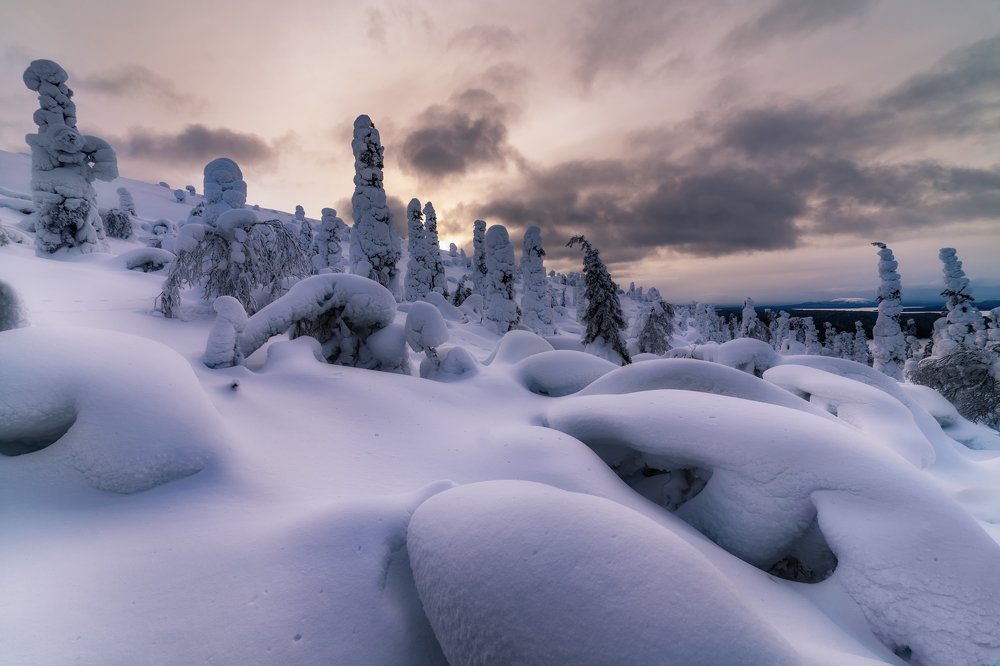 Photograph by Юлия Шумляева