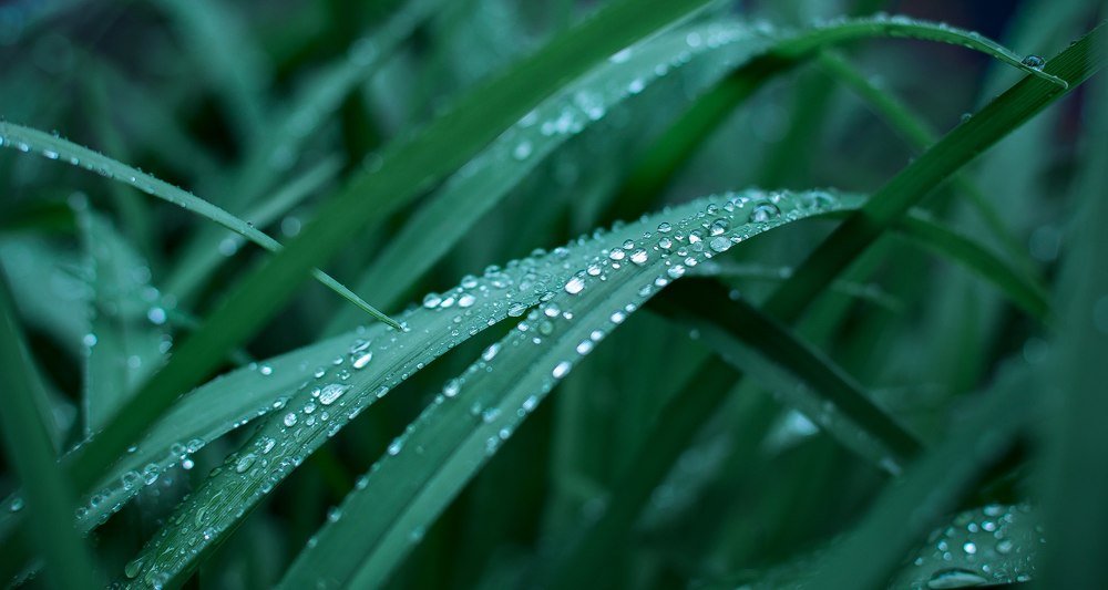 Photograph by Евгений Воронов