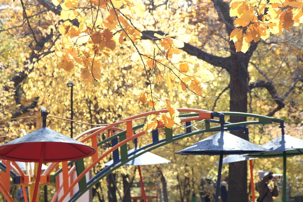 Осень в парке