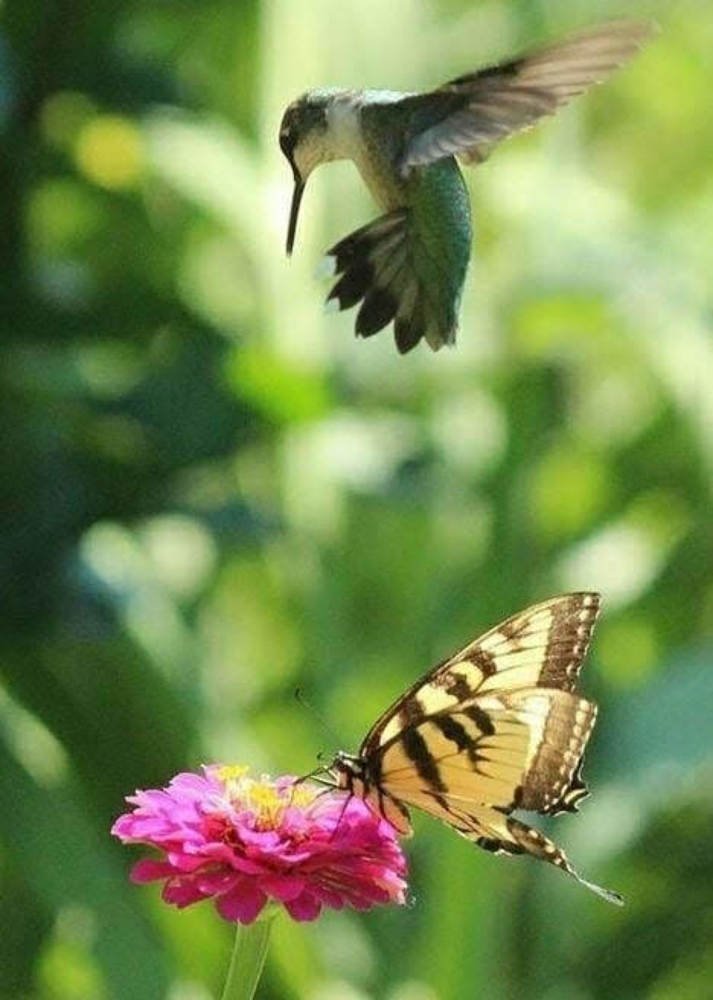 Photograph by Martin Araya