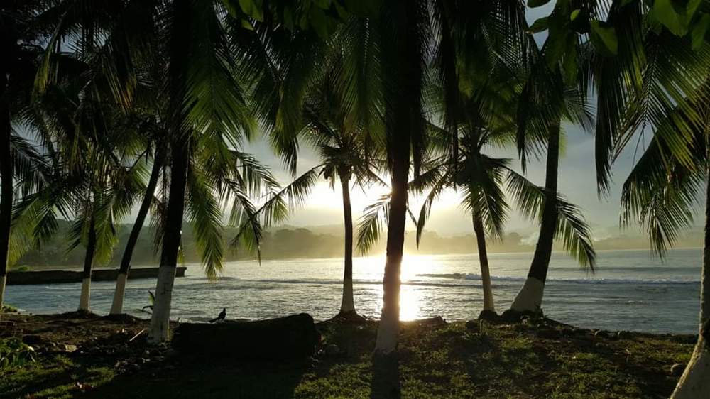 Photograph by Martin Araya