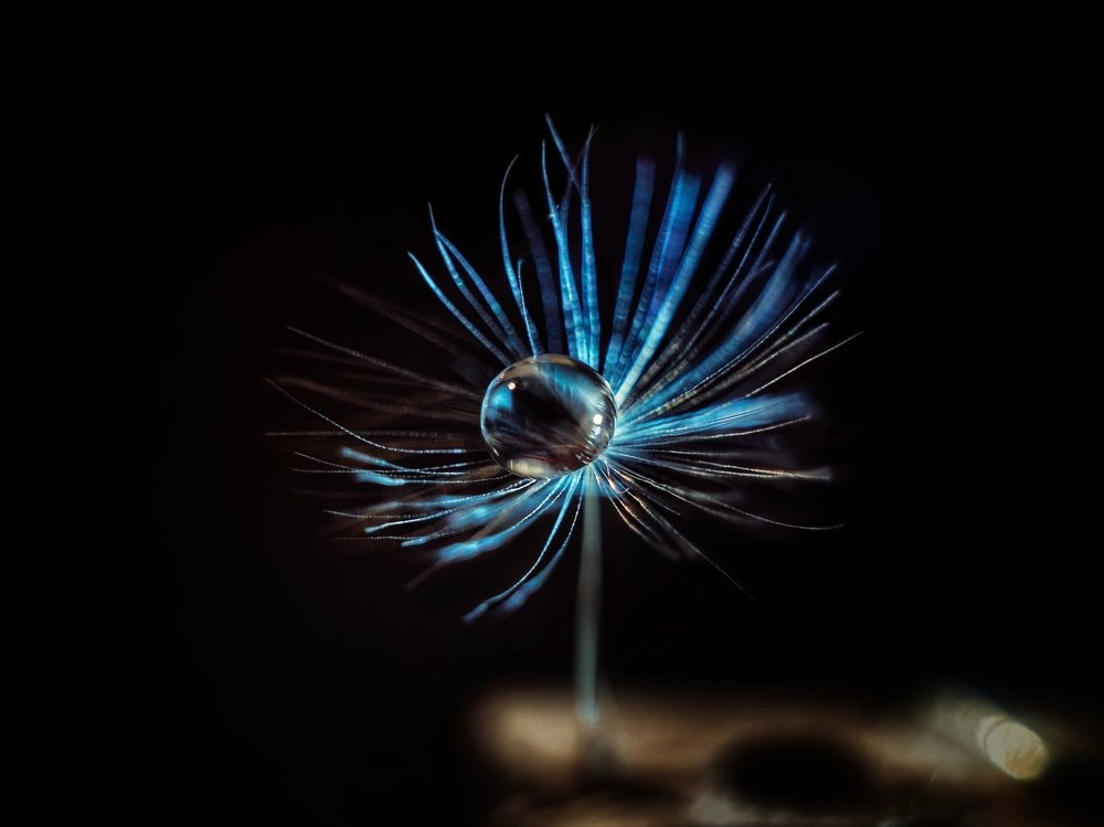 Photograph by Ольга Распопова