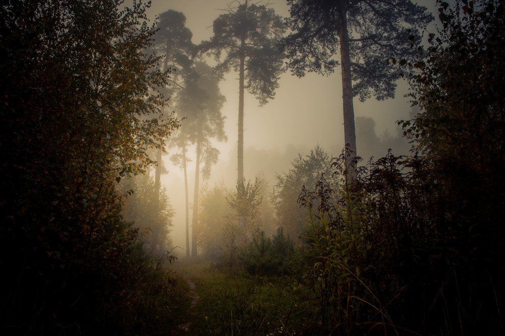 Photograph by Сергей Кочетов