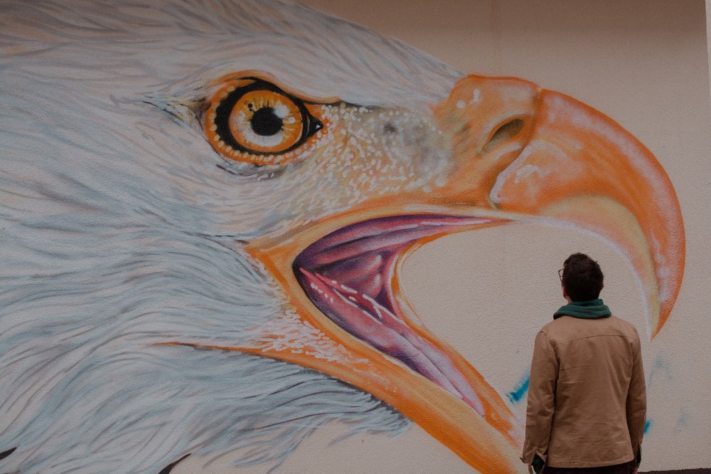 Photograph by инна абакарова