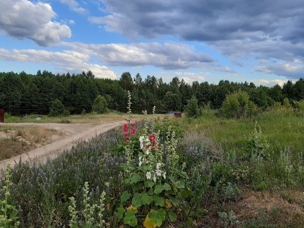 Photograph by Инна