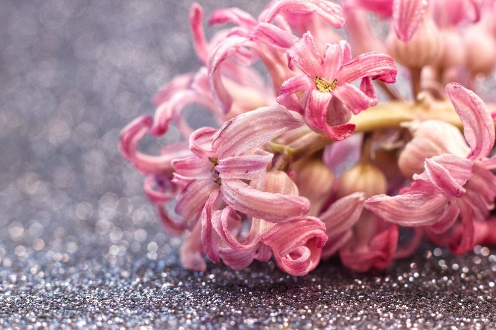 Photograph by Татьяна Гринько