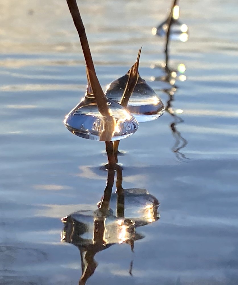 Photograph by Анатолий Андреев