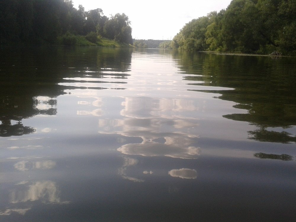 Photo #4475214