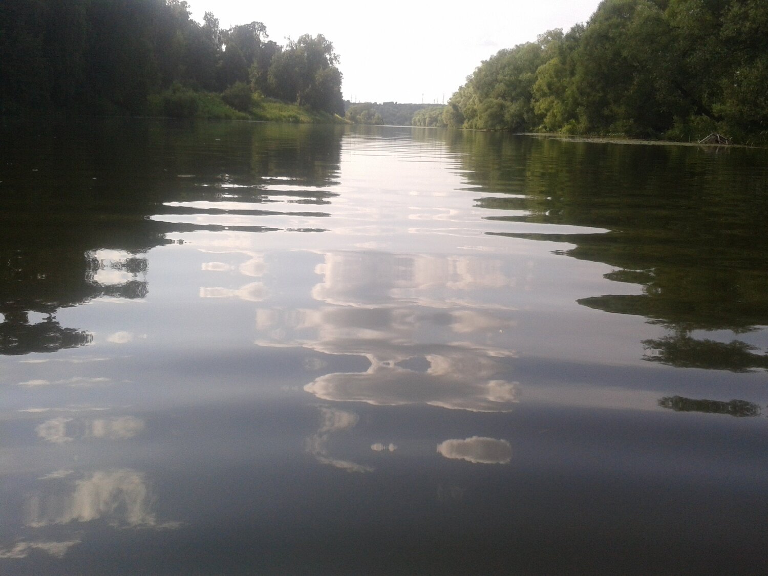 Photo #4475214