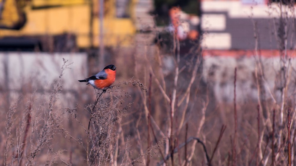 Photograph by Юлия Расссказова
