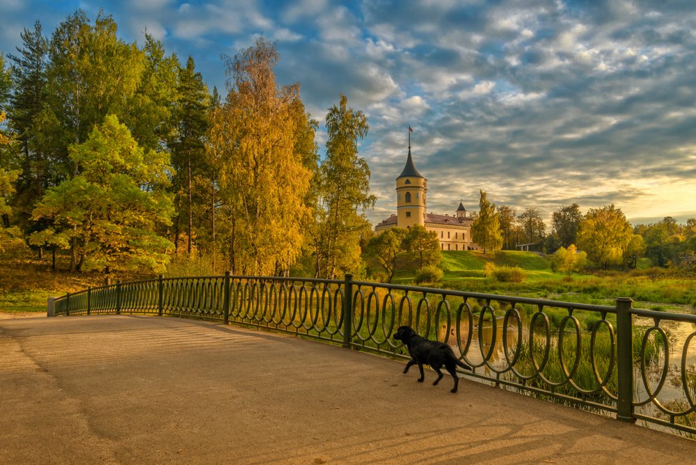 Осенняя прогулка в парке Мариенталь