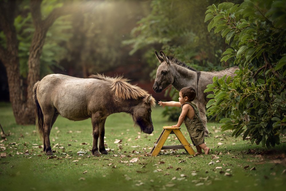 Photograph by Debo de la Llana