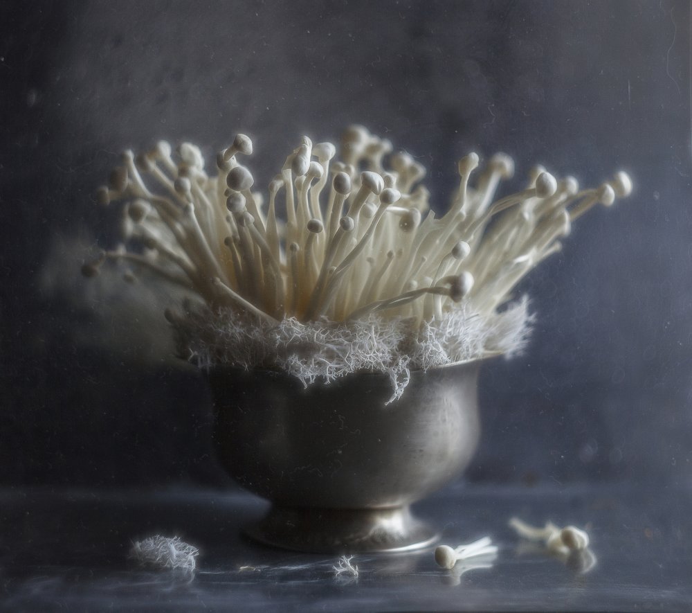 Photograph by Svoboda Andreeva