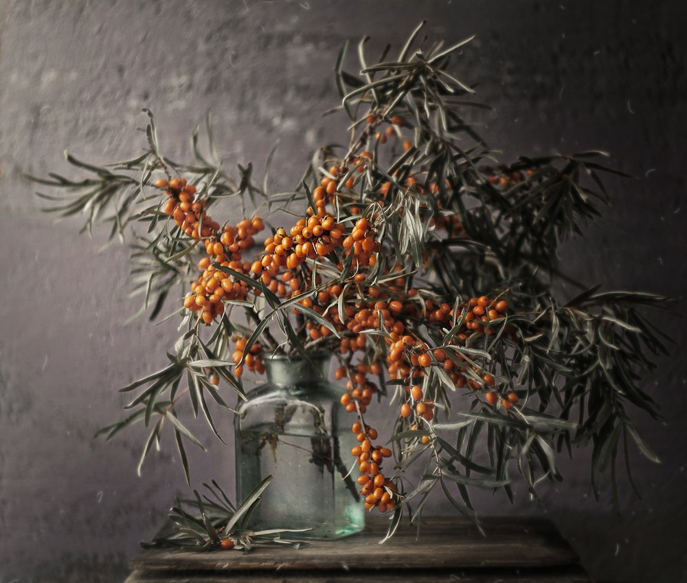 Photograph by Svoboda Andreeva