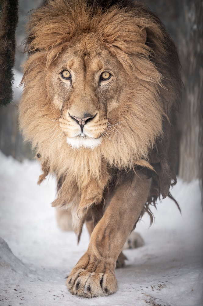 Фотография автора Дмитрий Эбингер