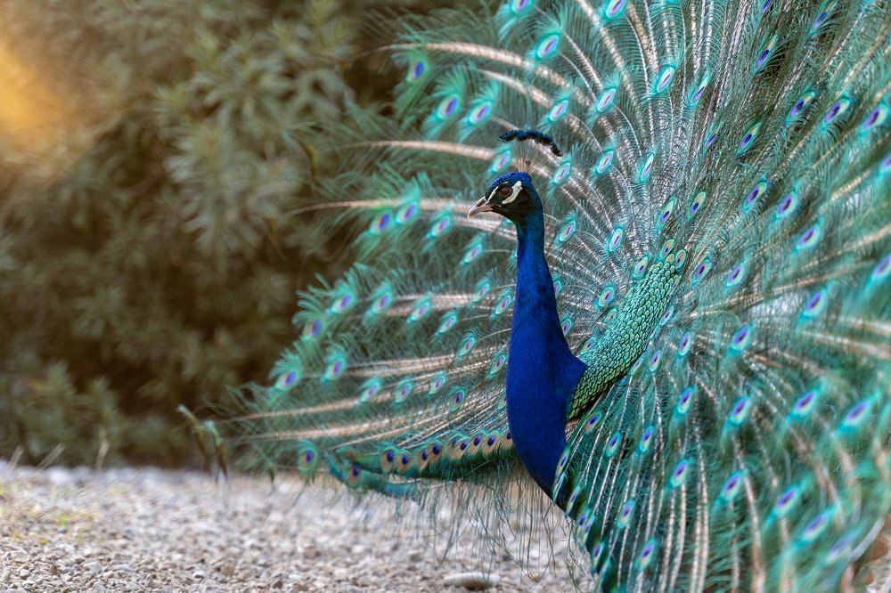 Photograph by Павел