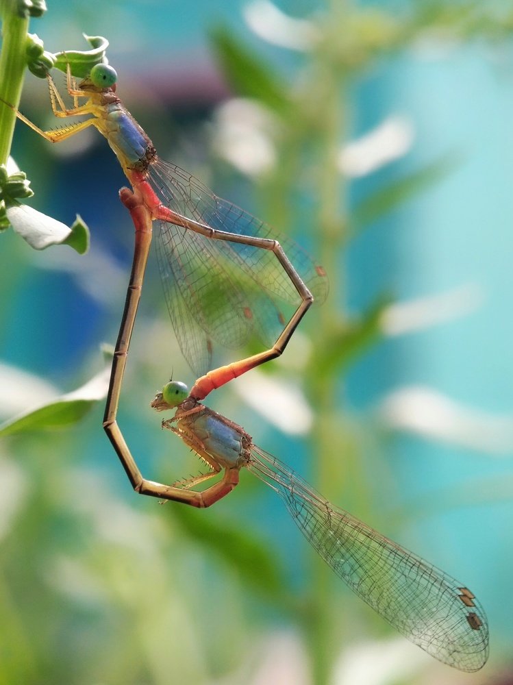 A Beautiful Moment