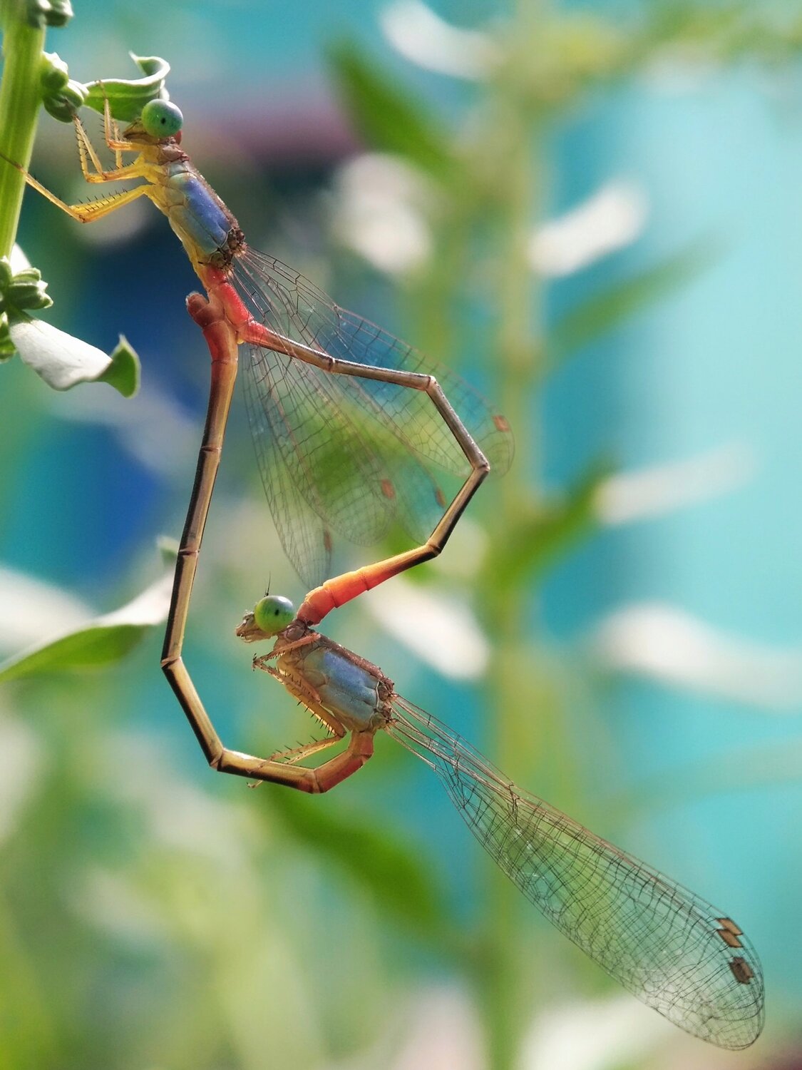 A Beautiful Moment