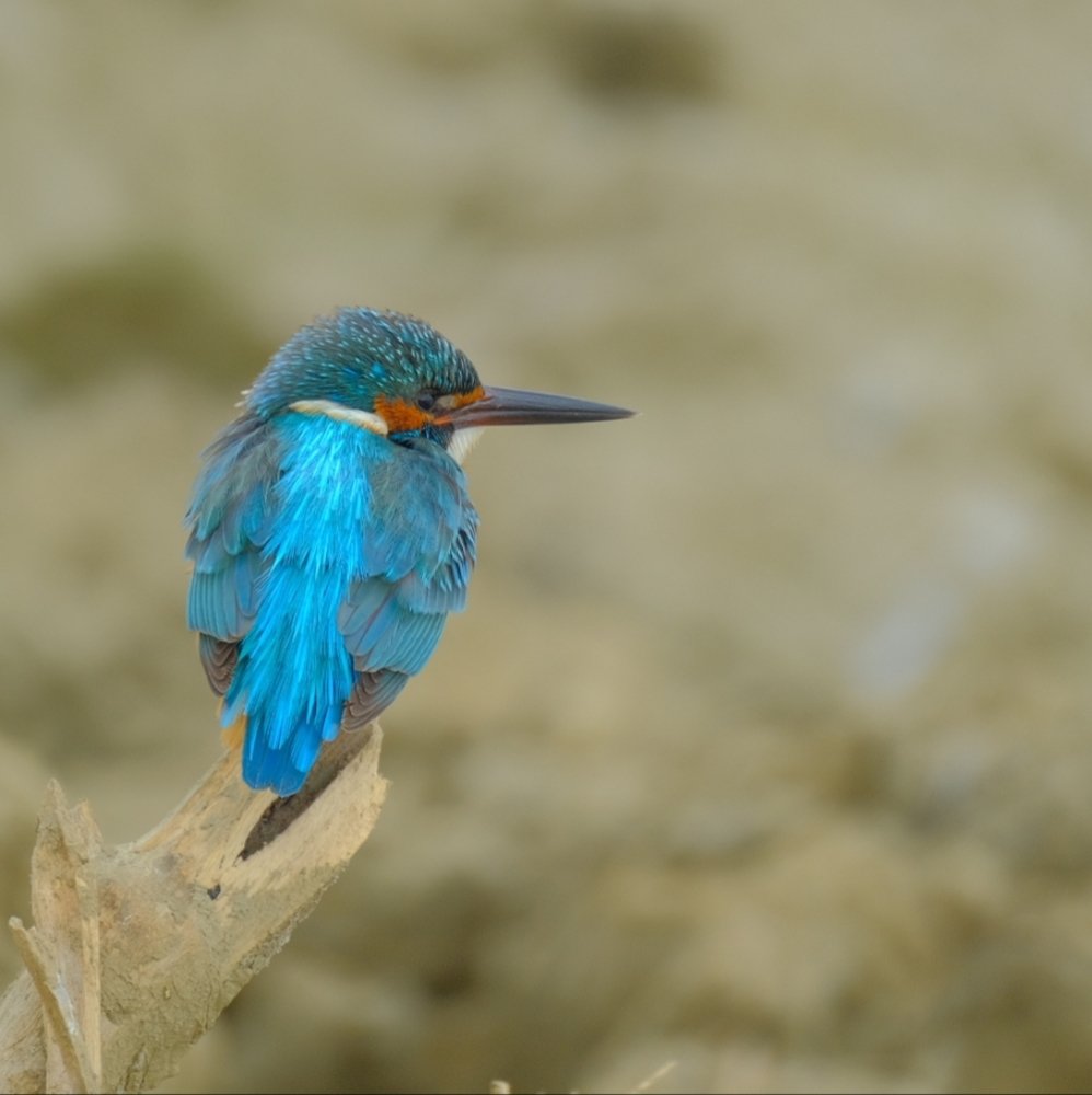 Photograph by Khalid Gurchani