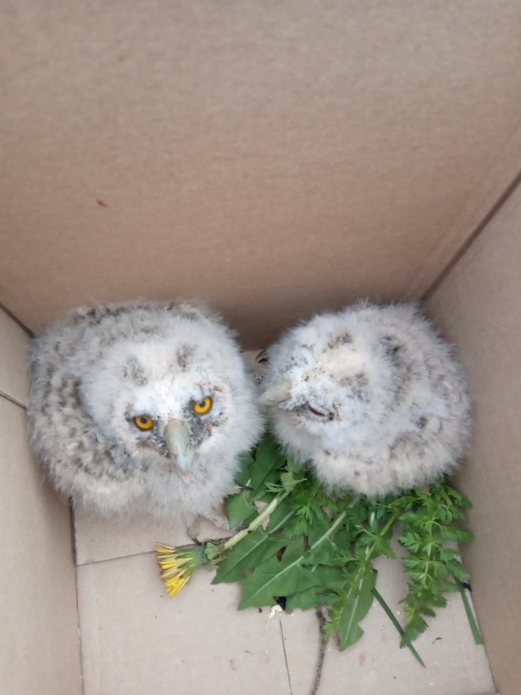 Photograph by Любовь Шаврина