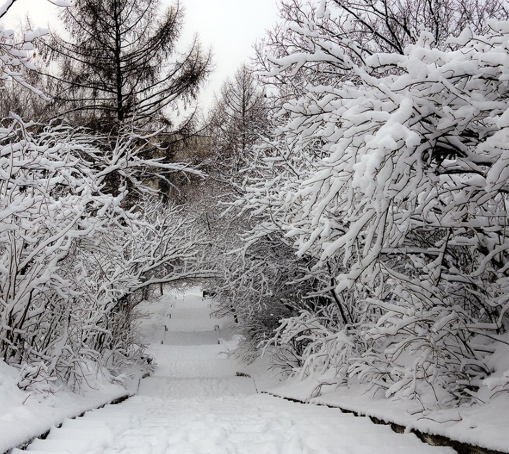 Photograph by Максим Фролов