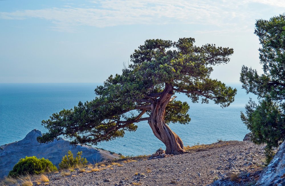 Photograph by Андрей