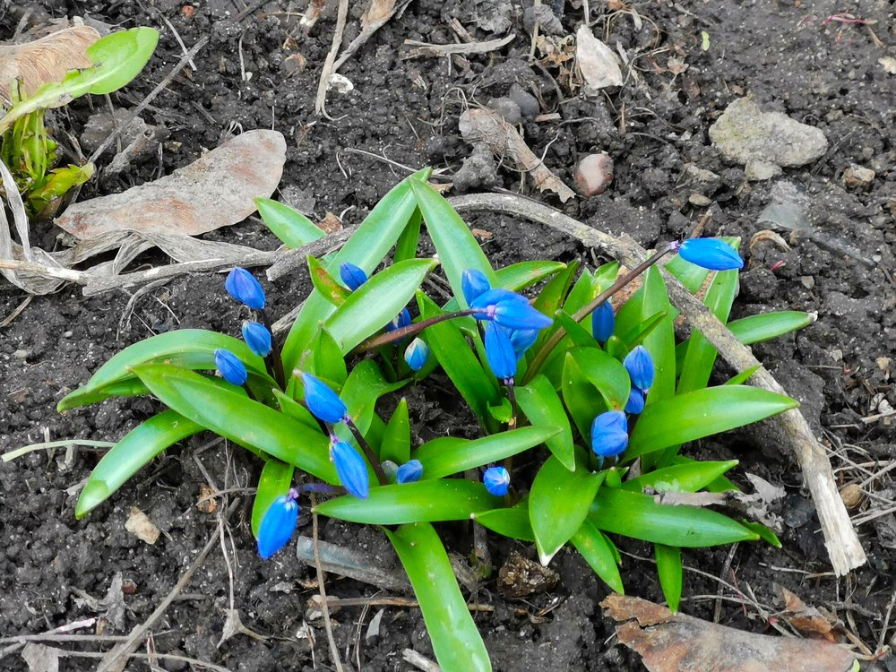 Photograph by Александр Костин