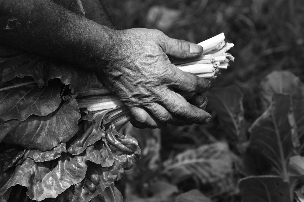 Photograph by ALFREDO SVARZCHTEIN