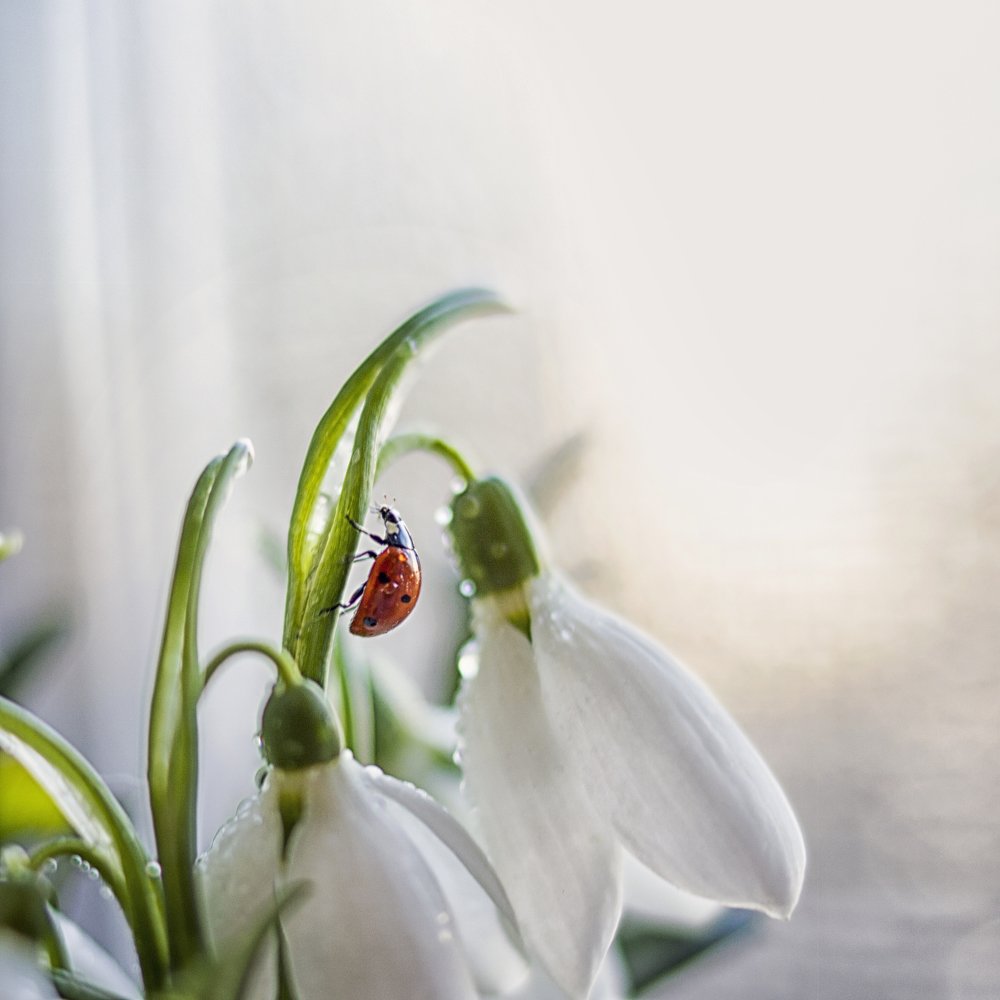 Photograph by Виктория Бурова