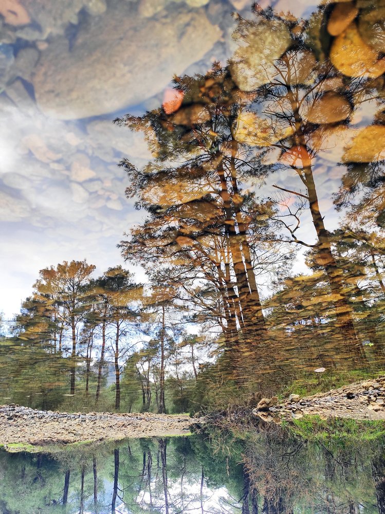 Photograph by Ольга Эркызан