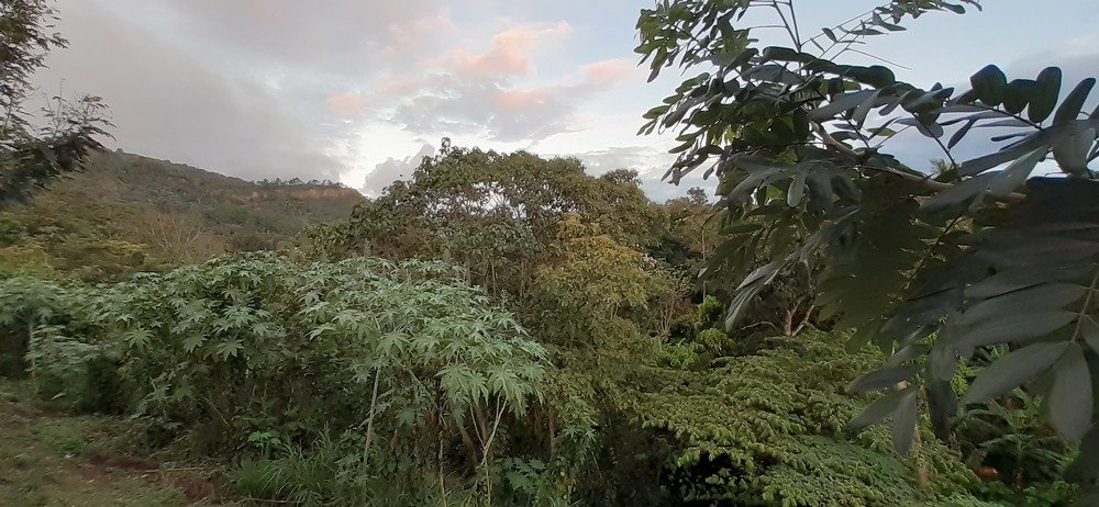 Photo #4476338