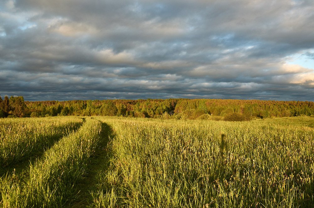 Photograph by Дмитрий Крестоварт