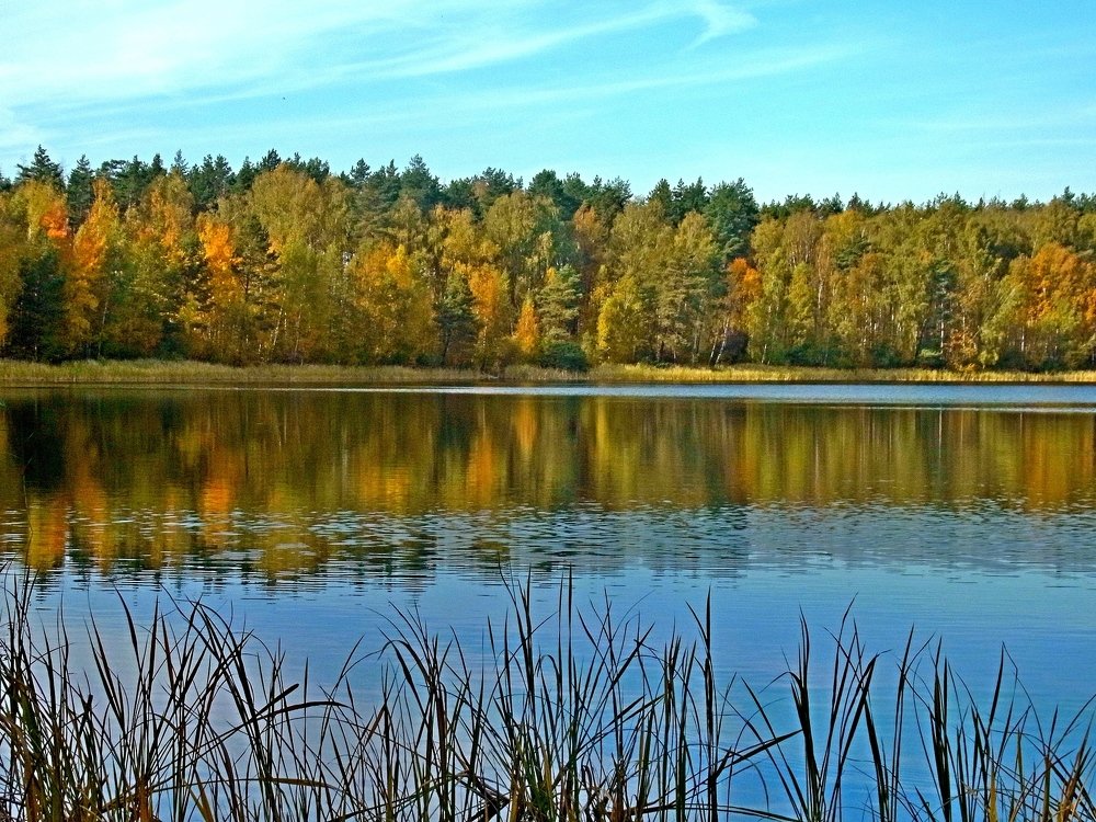 Photograph by леонид натапов