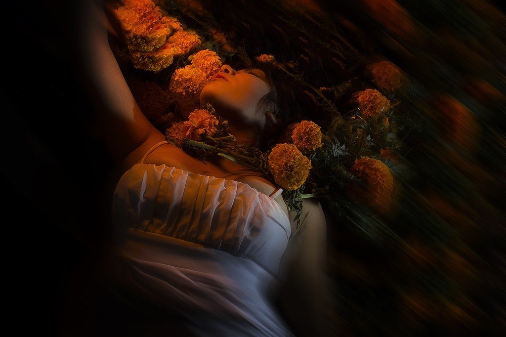 Photograph by Susan Huilot