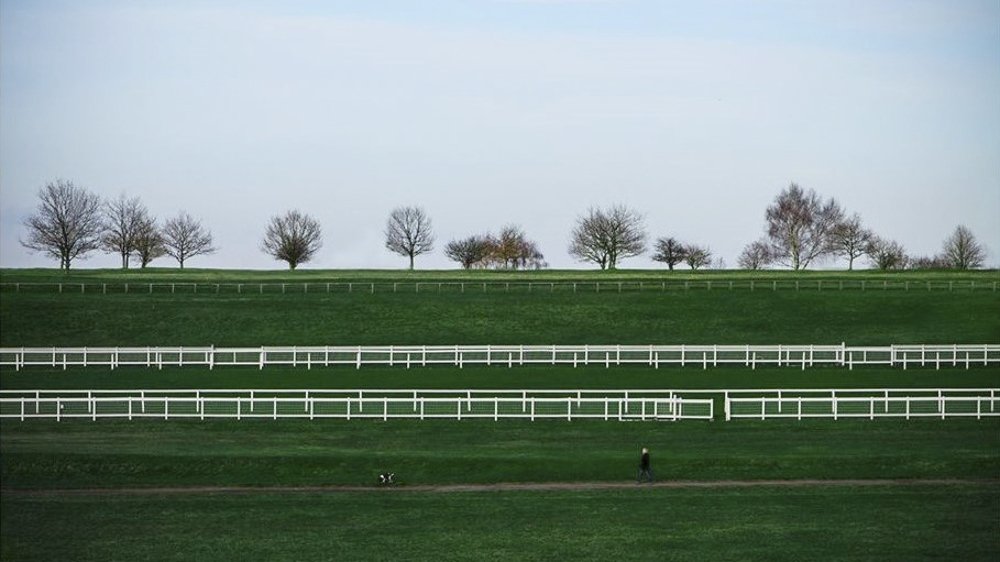 Photograph by Anny Stefanchuk