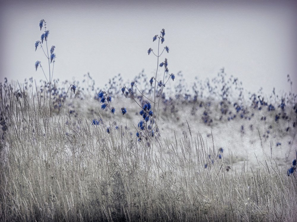 Photograph by Сергей Курников