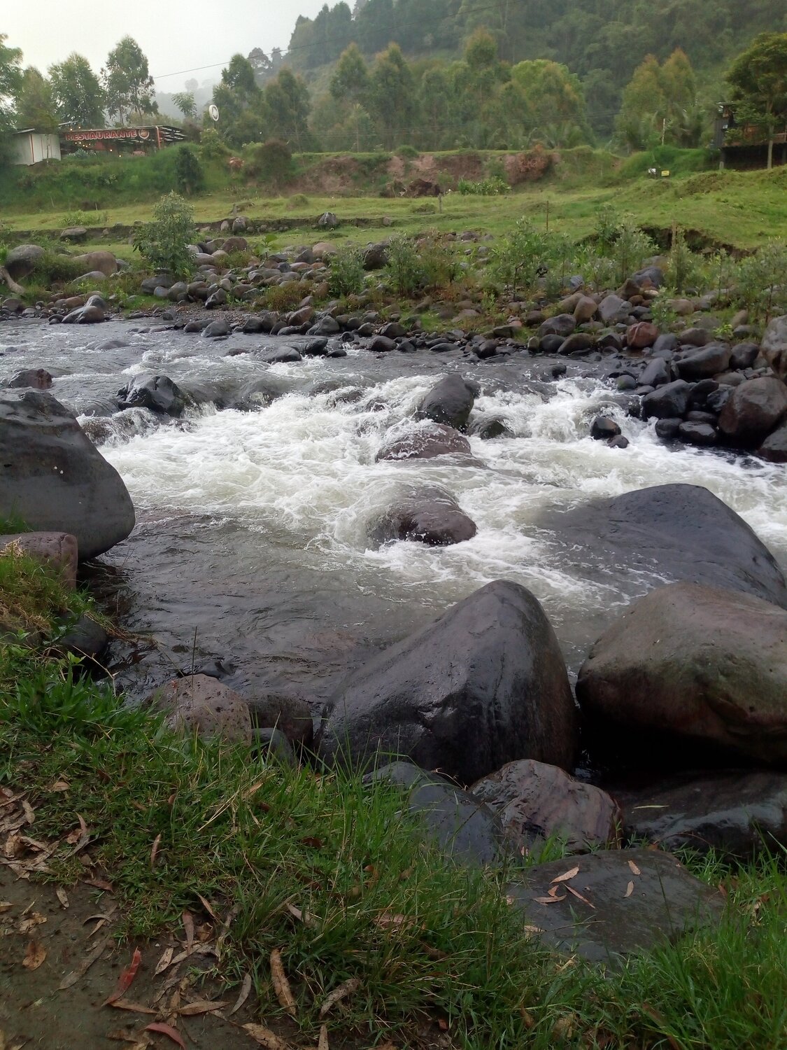 Photo #4476950