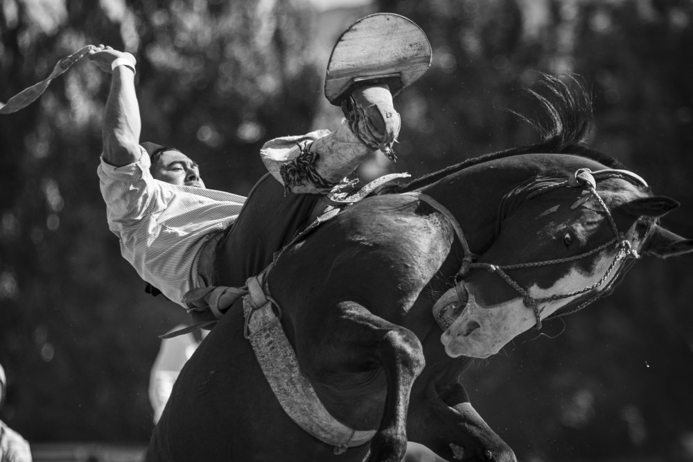 Photograph by Fernando Bulnes