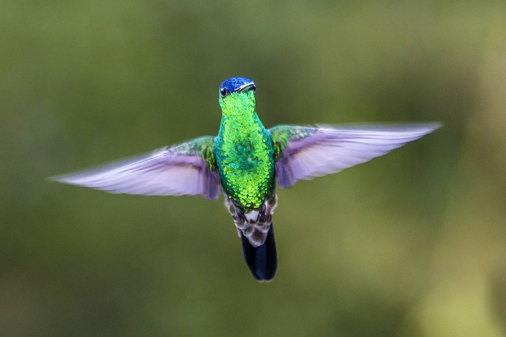 Photograph by Jorge Ivan Vasquez