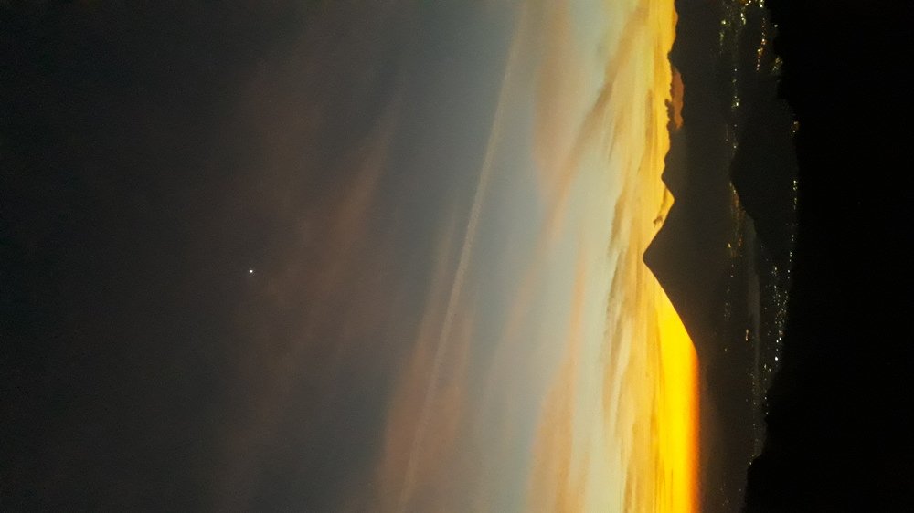 Photo #4477028