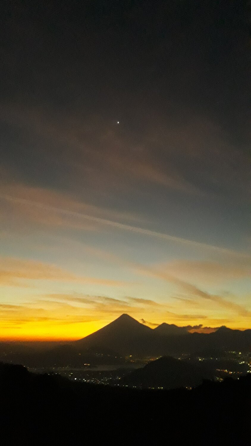 Photo #4477028