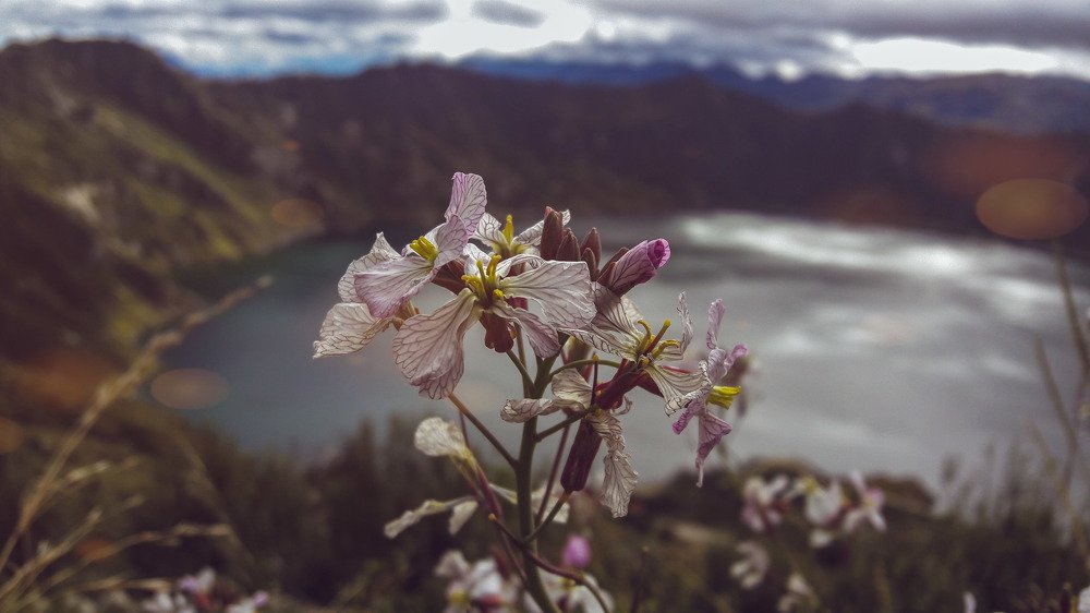 Photo #4477047