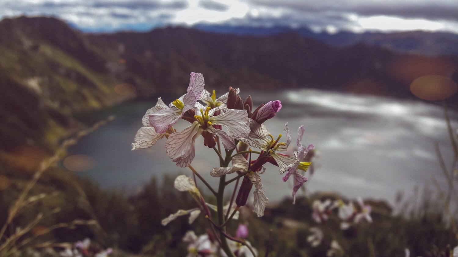 Photo #4477047